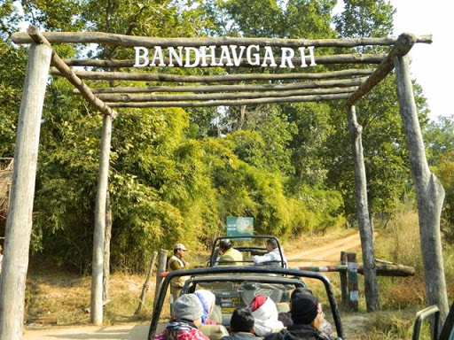 Bandhavgarh